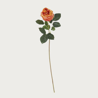 24” Orange True Bloom Floral Real Touch Austin Rose Stem
