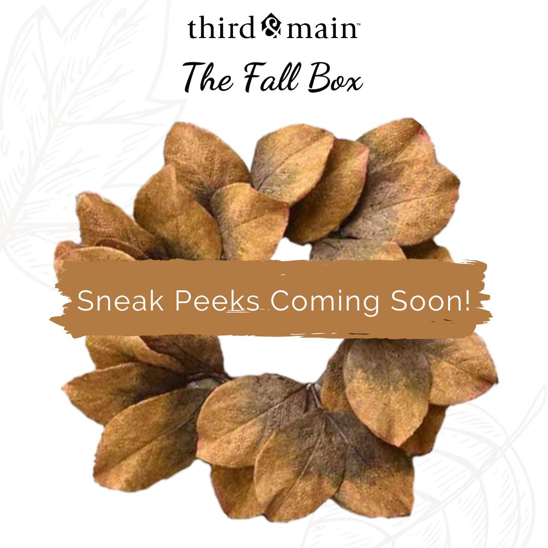 The Fall Home Decor Box Sneak Peeks – Third & Main