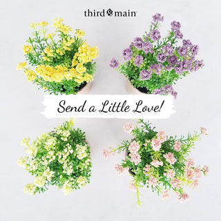 Blog-The Care Boxes Are Back In Stock-Third & Main
