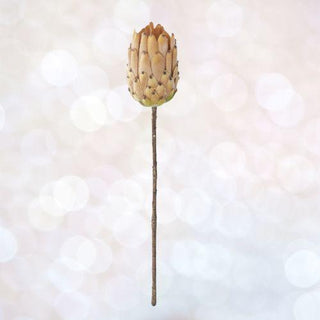 Door Buster 22 Inch Flocked Dark Cream w/ Yellow King Protea Stem