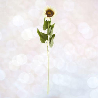 Door Buster 42" Single Large Cream Sunflower Stem