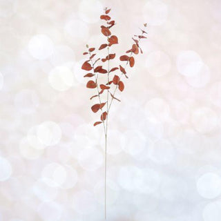 Door Buster 35.5" Brown Orange Eucalyptus Spray