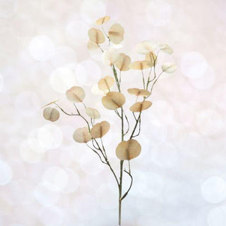 Door Buster 32" Cream Real Touch Eucalyptus Stem