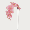 Real Touch Pink Orchid Stem - 44" Tall
