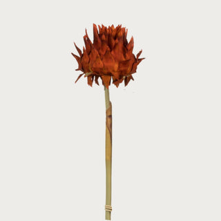 15" Dried Artichoke on Reed Stem, floral, Natural Floral, Dried, home decor, Decor, Fall, Fall Decor, Fall floral, Third & Main, Autumn