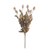 24" Inch Sleepy Silene Eva Bush Burgundy and Green