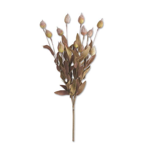 24" Inch Sleepy Silene Eva Bush Burgundy and Green