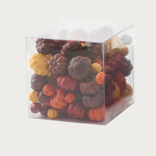 New In Box - Box of Multicolor Mini Pumpkins-Decorative Object-Third & Main-Brand new-with no tags-4x4x4-Multicolor-Third &amp; Main