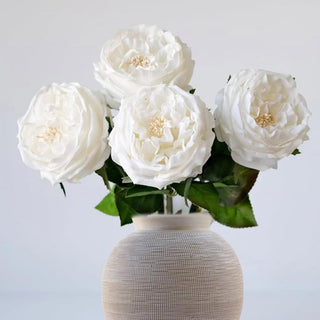 17" Real Touch White Austen Rose Stem, Third & Main, home decor, luxury florals, Faux Florals, Decor, Faux Roses