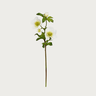 18-inch white Real Touch hellebore stem made from high-quality faux materials, featuring realistic soft white petals, lifelike green centers, and natural-looking veined leaves. This ultra-realistic faux floral stem is photographed against a neutral background for luxury home décor styling, ideal for winter floral arrangements or year-round modern interior design accents.
