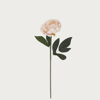 20 inch real touch light peach peony stem, full bloom detail