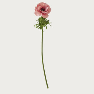 20.5 inch coral pink real touch buttercup stem with lifelike petals and green foliage on a clean white background