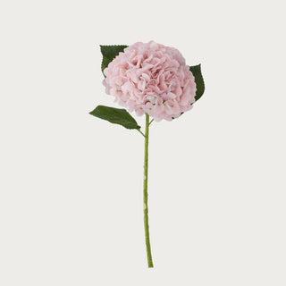 20"  This light pink True Bloom Floral  hydrangea real touch faux floral stem from True Bloom Floral by Third & Main is an  ultra-realistic artificial bloom with full layered petals and green leaves, high-end home decor stem, True Bloom Floral