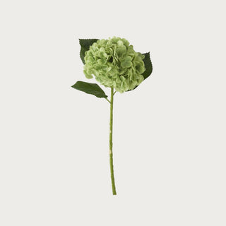 20" Green  hydrangea real touch faux floral stem from True Bloom Floral by Third & Main, ultra-realistic artificial bloom with full layered petals and green leaves, high-end home decor stem, True Bloom Floral, Real Touch, Green Flower, Hydrangea, Decor, Flower, Floral arrangement, Third & Main