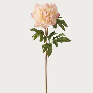 Blushed apricot True Bloom real touch peony stem with layered petals and lifelike texture, styled as an elegant faux floral stem