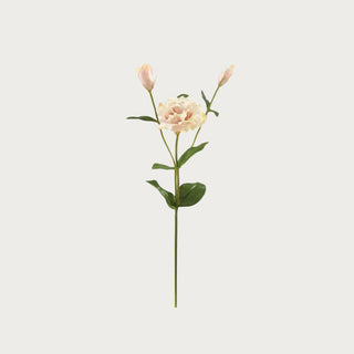 22 Inch Real Touch Creamy Blush Colored Lisianthus Stem perfect for floral arrangements for spring and summer.