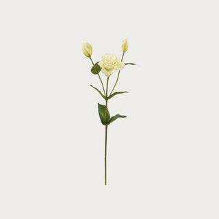 22 inch creamy white real touch lisianthus stem with buds and green leaves, lifelike faux flower for floral arrangements or single stem styling
Third & Main