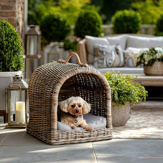 Styled on a patio with a cute dog resting inside, Handwoven rattan pet bed with arched top and cushion in brown-gray