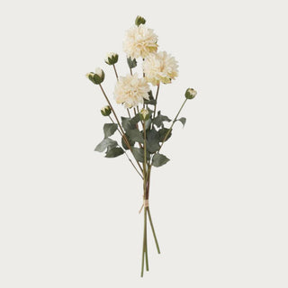 This is a gorgeous bundle of 3 stems of 23" long faux cream dried dahlia. It has green leaves and makes for a great addition to any floral arrangement. Faux Floral, Dahlia, Flowers, Cream Flower, Home Decor, Third & Main
