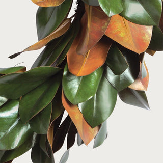 24 inch grand magnolia leaf wreath, close-up of leaf texture and color variation