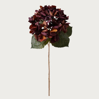 24-inch Real Touch Claret Brown hydrangea stem with deep burgundy-brown petals — faux floral for fall arrangements and moody styling.