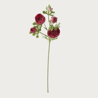 24.5 Inch True bloom Floral Real Touch Burgundy 5 Head  Ranunculus Stem