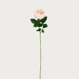 24" Light Pink True Bloom Floral Real Touch Austin Rose Stem, True Bloom Floral by Third & Main, True Bloom Floral, Real Touch, Home Decor, Rose, Austin Rose, Third & Main