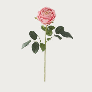 24" Light Purple True Bloom Floral Real Touch Austin Rose Stem, True Bloom, Real Touch, Faux Floral, Rose, Austin Rose, Home Decor, Third & Main
