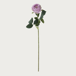 24" Light Purple True Bloom Floral Real Touch Austin Rose Stem, True Bloom, Real Touch, Faux Floral, Rose, Austin Rose, Home Decor, Third & Main