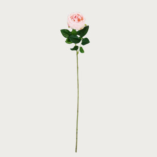 24"  Pink True Bloom Floral Real Touch Austin Rose Stem, True Bloom Floral by Third & Main, True Bloom Floral, Real Touch, Home Decor, Rose, Austin Rose, Third & Main