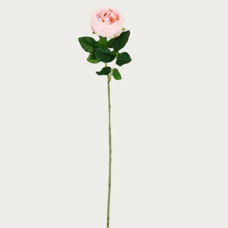 24" Pink True Bloom Real Touch Austin Rose Stem, Third & Main