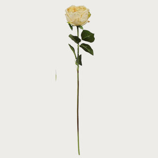 24" True Bloom Floral  Real Touch Yellow Austin Rose Stem