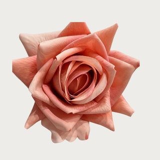 25" Coral True Bloom Floral  Real Touch Duchess Rose, Real Touch, Rose, Duchess Rose,  Faux Floral, Third & Main, Home Decor Spring Decor, Everyday Decor, Roses