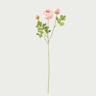 Light Pink True Bloom Floral Real Touch Triple Bloom Ranunculus, 25"H-Faux Floral-Third & Main-Third &amp; Main