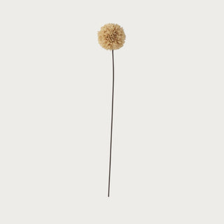26-inch cream faux allium ball stem with round textured bloom – artificial floral for tall vases, centerpieces, and modern arrangements.