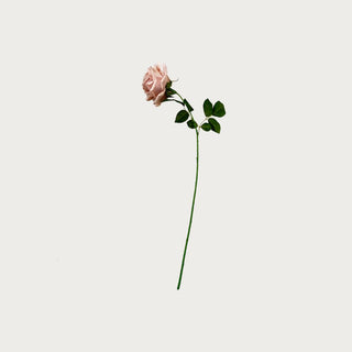 26 inch dusty pink real touch duchess rose stem with lifelike petals and green leaves for floral arrangements by Third & Main