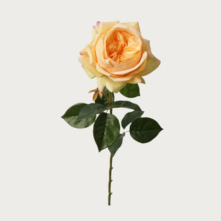 26 inch True Bloom real touch yellow Juliet rose stem with layered petals and realistic green leaves isolated on white background for luxury faux floral styling