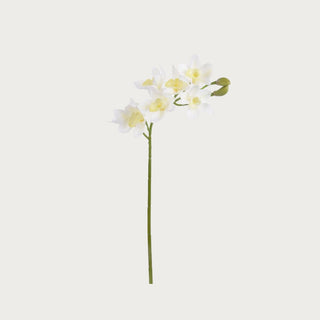 27 inch real touch creamy white cymbidium orchid stem with golden centers and green stem for faux floral styling by Third & Main
