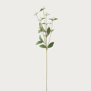 Real touch white amaranth stem on light colored background by Third & Main