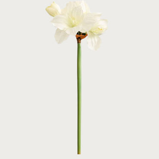 29-inch Real Touch white amaryllis faux flower stem with lifelike petals and natural green stem, perfect for winter floral arrangements and home decor. Third & Main, Home Decor, Real Touch Floral, Luxury Faux Floral, Holiday Florals, Winter Florals