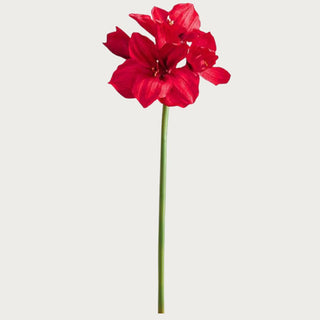 29 Inch Real Touch Red Amaryllis Stem perfect for holiday floral arrangements