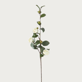 30 inch faux white camellia stem with layered white blooms and green leaves isolated on white background for modern floral styling
