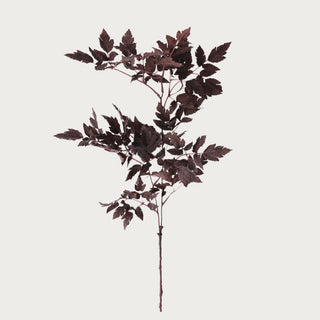 31-inch faux dry burgundy cimicifuga floral stem with serrated leaves, realistic botanical for tall vase or seasonal arrangement styling.
