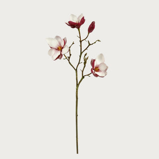 32" Burgundy and White Tree Magnolia Spray