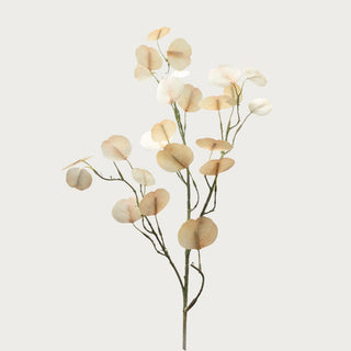 32 inch Cream Real Touch Eucalyptus Stem from Third & Main