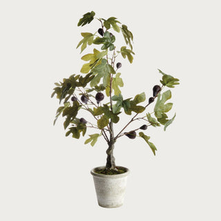 34-inch faux fig tree in pot with realistic green leaves and figs, Third & Main, Home Decor, Modern Traditional Decor, Modern Farmhouse Decor, Fall Decor, Faux Floral