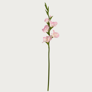 Single 34-inch blush pink and white Real Touch gladiolus stem with layered blooms and flexible green stem