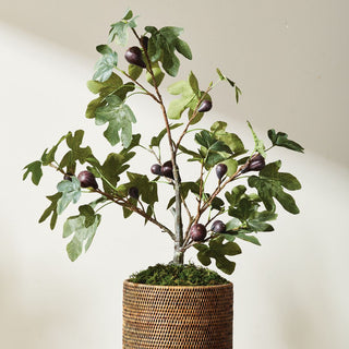 34-inch faux fig tree in pot with realistic green leaves and figs, Third & Main, Home Decor, Modern Traditional Decor, Modern Farmhouse Decor, Fall Decor, Faux Floral