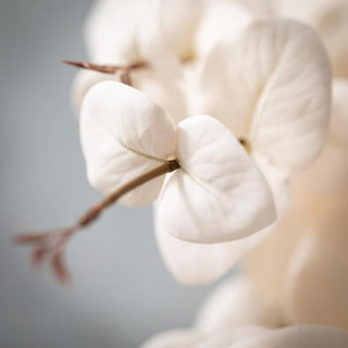 35.5 Inch Neutral faux eucalyptus branch for fall or year-round decor