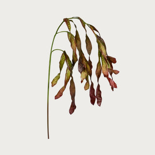 35-inch faux Leucaena Glauca stem with cascading seed pods in olive green, warm brown, and muted bronze on a long shapeable branch.
